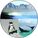 See Cape Town Tours, Sandvlei, Cape Town