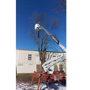  New Album of Kresse Tree Wurxx, Inc. 11595 Lynn Road - Photo 1 of 2