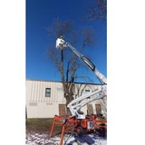 Kresse Tree Wurxx, Inc., Buffalo