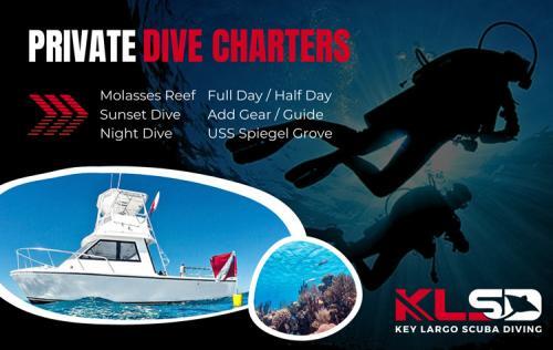  New Album of Key Largo Scuba Diving 102900 Overseas Hwy #6 - Photo 2 of 2