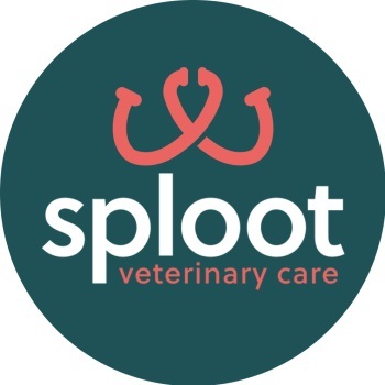  Profile Photos of Sploot Veterinary Care - RiNo 3767 N Downing Street - Photo 1 of 1