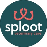 Sploot Veterinary Care - RiNo, Denver