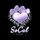 SoCal K9 Clinic City of Industry, City of Industry