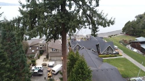  Profile Photos of White River Tree Service Serving Area - Photo 3 of 3