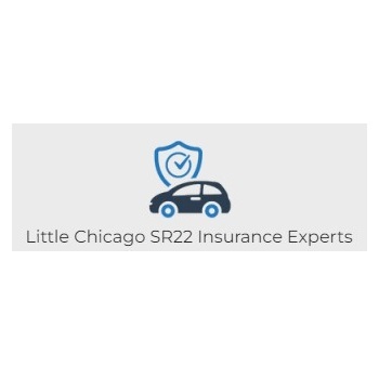  Profile Photos of Little Chicago SR22 Insurance Experts 813 Gordon Dr - Photo 1 of 3