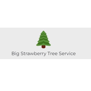  Profile Photos of Big Strawberry Tree Service 13121 Century Blvd - Photo 1 of 1
