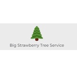 Big Strawberry Tree Service, Garden Grove