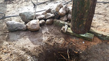  Metro Power Construction Inc 1348 Powerhouse Rd 