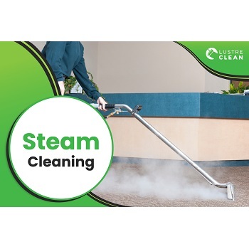  Profile Photos of Lustre Clean Carpet Services 25243 Mastery Place - Photo 2 of 2