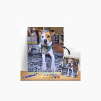  Profile Photos of paintbynumber nil - Photo 1 of 1