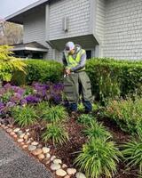 Gachina Landscape Management, Newark