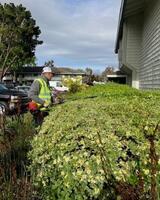 Gachina Landscape Management, Newark