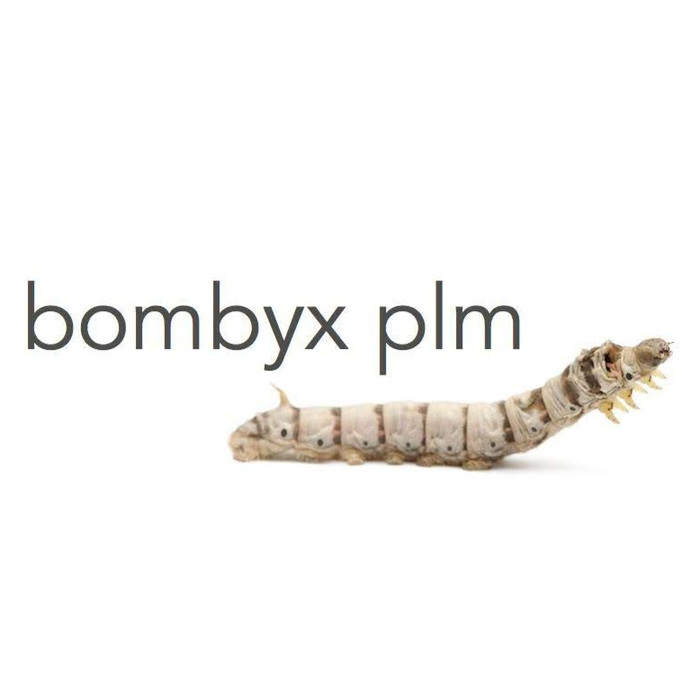  Profile Photos of Bombyx PLM 31-38 Queen St, CADI The Dock - Photo 1 of 2