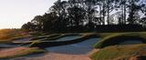 Crescent Pointe Golf Club, Bluffton