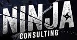 Ninja Consulting - PHP, Wordpress Web Development Philippines, Pasig City 1600 Manila