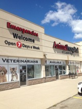 Animal Hospital Of Cambridge, Cambridge