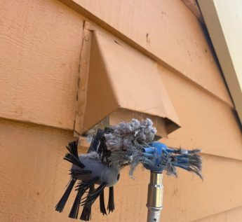  Profile Photos of All Star Dryer Vent 3185 Delna Dr - Photo 3 of 3