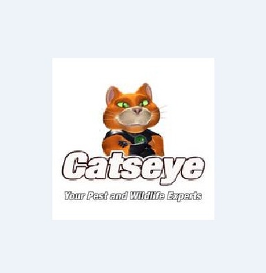  Profile Photos of Catseye Pest Control - Boston MA 470 Atlantic Avenue - Photo 1 of 3