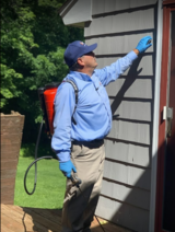 Catseye Pest Control - Boston MA, Boston