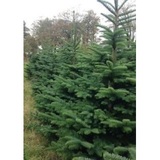 Parkswood Tree Centre, Co. Waterford
