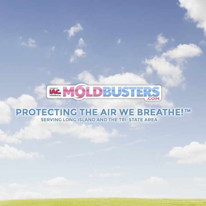  Profile Photos of Moldbusters 6800 Jericho Turnpike #120w - Photo 1 of 1