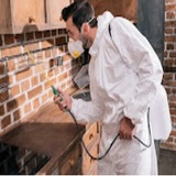 Rapid Pest Control Chula Vista, Chula Vista