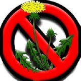 Weed Busters, Pickerington