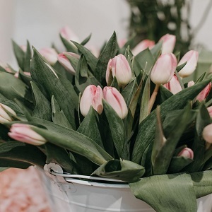  Profile Photos of The Flower Shop at Thiessen's 400 Talbot Rd E, - Photo 5 of 14