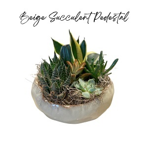  Profile Photos of The Flower Shop at Thiessen's 400 Talbot Rd E, - Photo 7 of 14