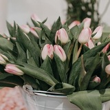  The Flower Shop at Thiessen's 400 Talbot Rd E, 