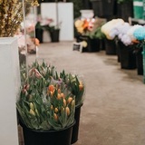  The Flower Shop at Thiessen's 400 Talbot Rd E, 