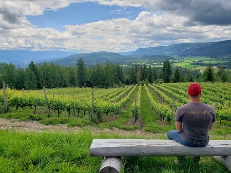  Profile Photos of Larch Hills Winery 110 Timms Road - Photo 2 of 4