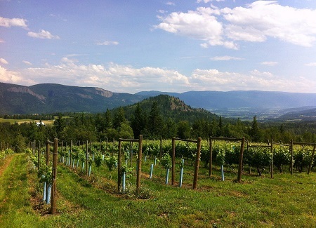  Profile Photos of Larch Hills Winery 110 Timms Road - Photo 4 of 4