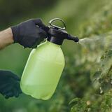 Solve Pest Pros, Montgomery