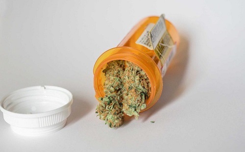  Profile Photos of Medical Marijuana Card Jacksonville, FL | The Sanctuary 841 Prudential Drive - Photo 2 of 3
