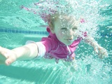  Swim With Gale 6587 Maplegrove Street 