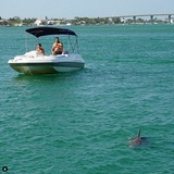  Tierra Verde Boat Rentals 100 Pinellas Bayway S, 