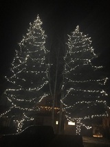Jazz At Aspen-Snowmass, Aspen