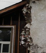 AsbestosRemovalWellington.co.nz, Johnsonville