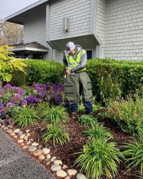  New Album of Gachina Landscape Management 404 Talbert Street - Photo 2 of 2