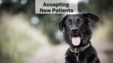 Manitou Animal Hospital, Kitchener