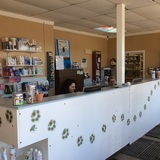 Manitou Animal Hospital, Kitchener
