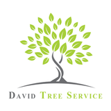 David Tree Service LLC, Manassas