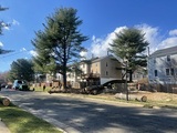 David Tree Service LLC, Manassas