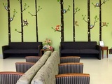 Capital Children's Surgery Center, Upper Marlboro