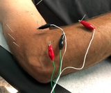 Pursue Physical Therapy & Performance Training, Hoboken