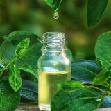  Scatters Oils USA 6970 Business Park Blvd N, STE 9 