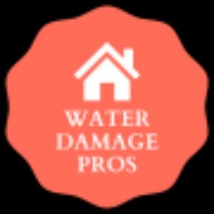  Profile Photos of Hamilton County Water Damage Wizards Carmel, Indiana - Photo 1 of 1