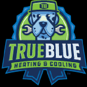  Profile Photos of True Blue Heating and Cooling 5016 Spedale Ct #229 - Photo 1 of 1
