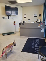 New Album of Willow Glen Pet Hospital